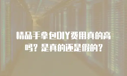 精品手拿包DIY费用真的高吗？是真的还是假的？