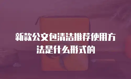 新款公文包清洁推荐使用方法是什么形式的