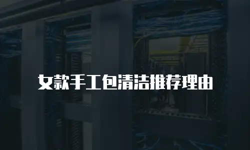 女款手工包清洁推荐理由
