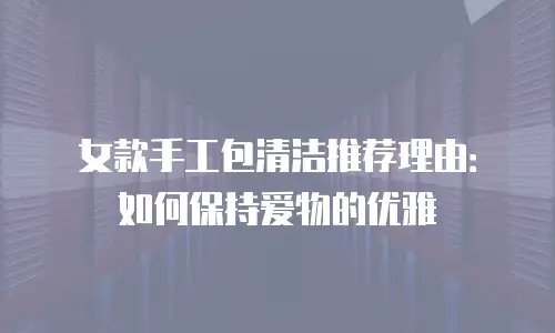 女款手工包清洁推荐理由：如何保持爱物的优雅