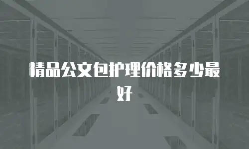 精品公文包护理价格多少最好