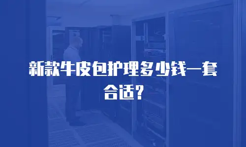 新款牛皮包护理多少钱一套合适？
