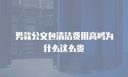 男款公文包清洁费用高吗为什么这么贵