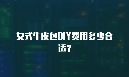 女式牛皮包DIY费用多少合适？