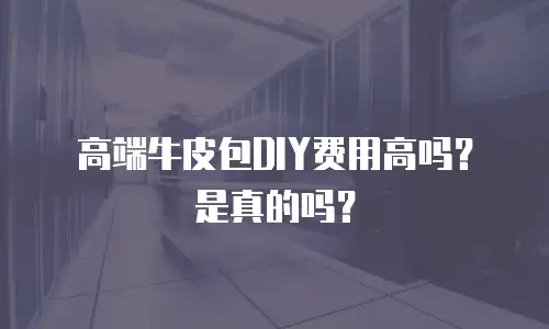 高端牛皮包DIY费用高吗？是真的吗？