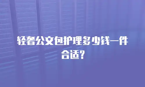 轻奢公文包护理多少钱一件合适？