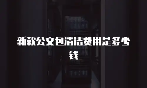 新款公文包清洁费用是多少钱