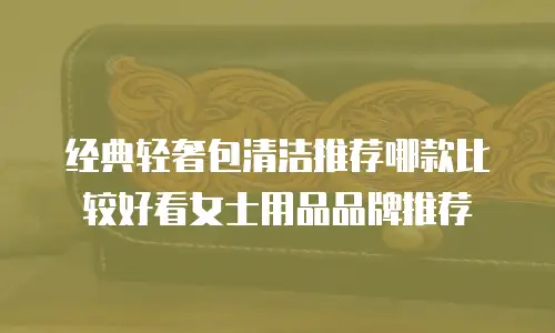 经典轻奢包清洁推荐哪款比较好看女士用品品牌推荐