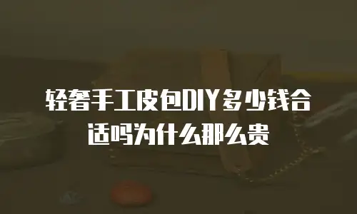 轻奢手工皮包DIY多少钱合适吗为什么那么贵