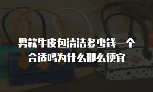 男款牛皮包清洁多少钱一个合适吗为什么那么便宜