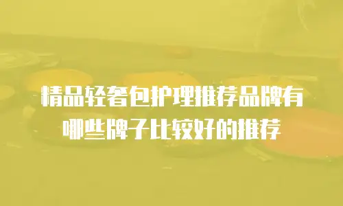 精品轻奢包护理推荐品牌有哪些牌子比较好的推荐