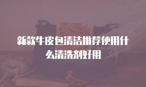 新款牛皮包清洁推荐使用什么清洗剂好用