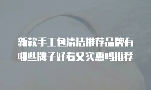新款手工包清洁推荐品牌有哪些牌子好看又实惠吗推荐