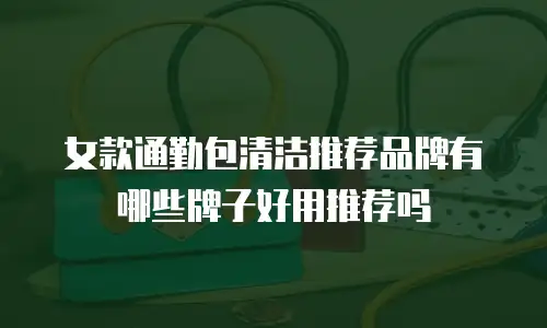 女款通勤包清洁推荐品牌有哪些牌子好用推荐吗