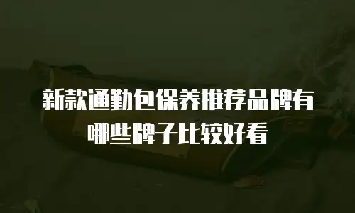 新款通勤包保养推荐品牌有哪些牌子比较好看