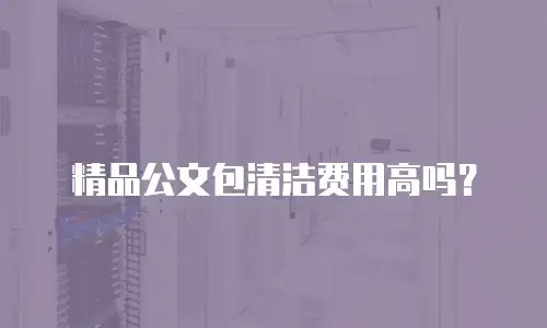 精品公文包清洁费用高吗？