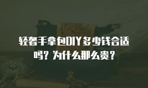 轻奢手拿包DIY多少钱合适吗？为什么那么贵？