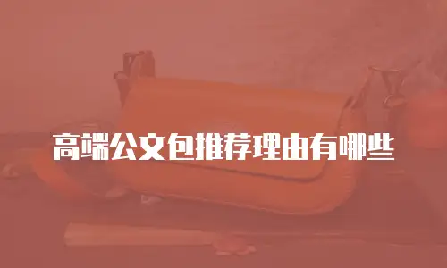 高端公文包推荐理由有哪些