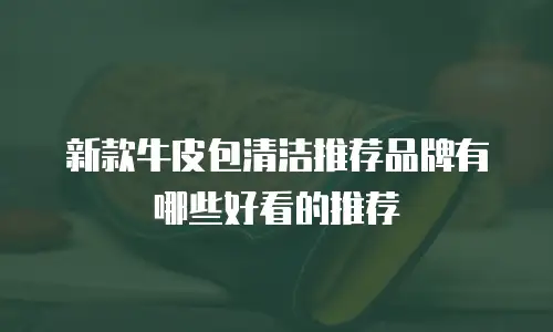 新款牛皮包清洁推荐品牌有哪些好看的推荐