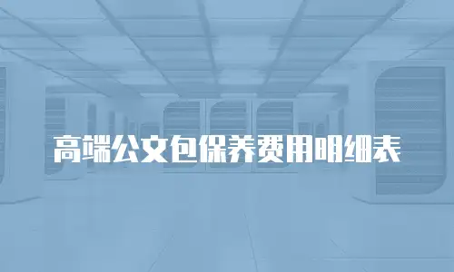 高端公文包保养费用明细表