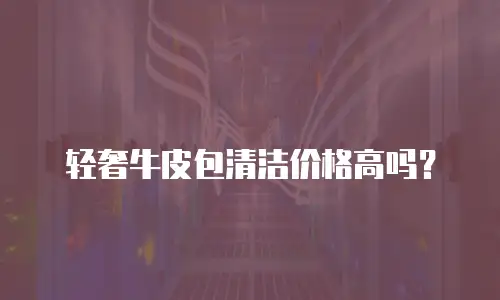 轻奢牛皮包清洁价格高吗？