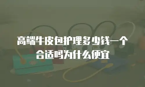 高端牛皮包护理多少钱一个合适吗为什么便宜