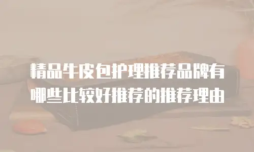 精品牛皮包护理推荐品牌有哪些比较好推荐的推荐理由