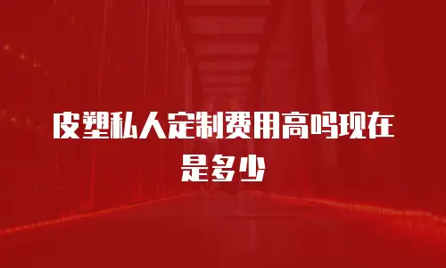 皮塑私人定制费用高吗现在是多少