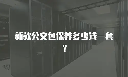 新款公文包保养多少钱一套？