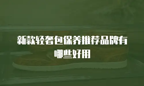 新款轻奢包保养推荐品牌有哪些好用