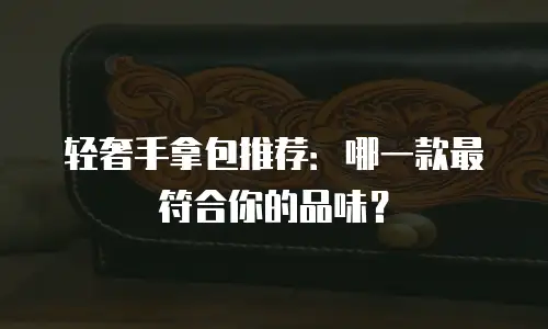 轻奢手拿包推荐：哪一款最符合你的品味？