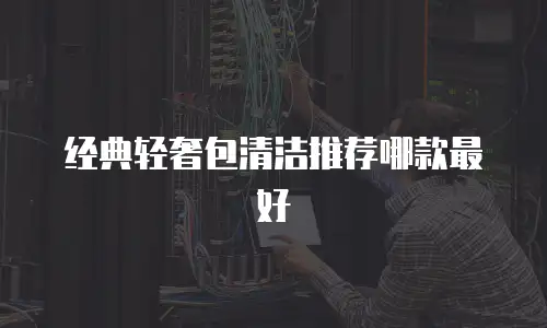 经典轻奢包清洁推荐哪款最好