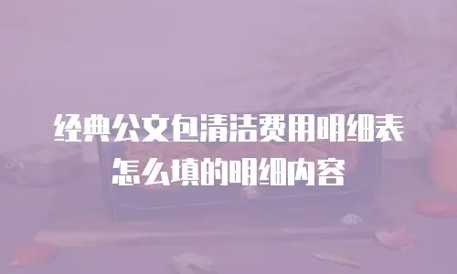 经典公文包清洁费用明细表怎么填的明细内容