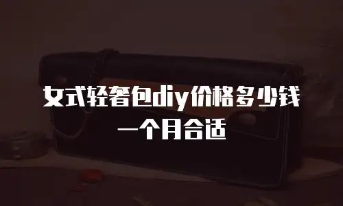女式轻奢包diy价格多少钱一个月合适