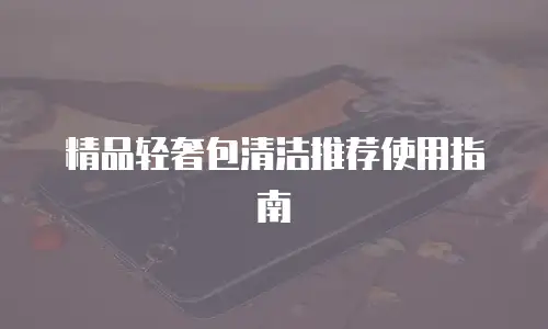 精品轻奢包清洁推荐使用指南