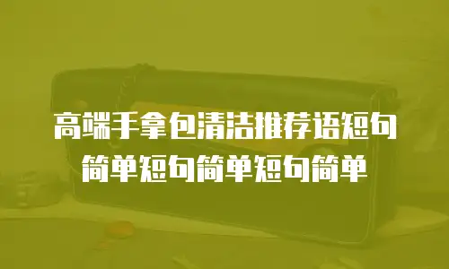 高端手拿包清洁推荐语短句简单短句简单短句简单