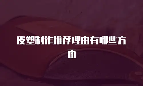皮塑制作推荐理由有哪些方面