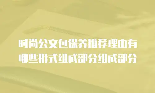 时尚公文包保养推荐理由有哪些形式组成部分组成部分