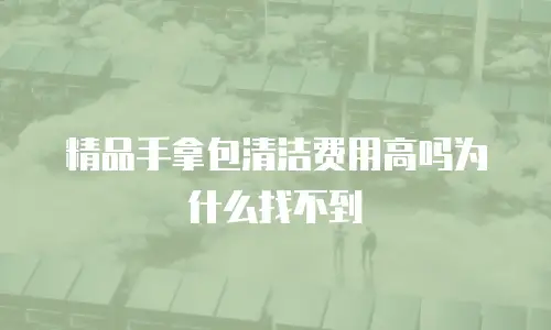 精品手拿包清洁费用高吗为什么找不到