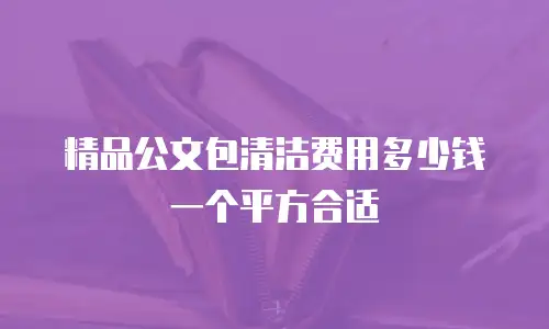 精品公文包清洁费用多少钱一个平方合适