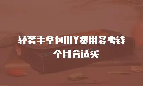 轻奢手拿包DIY费用多少钱一个月合适买