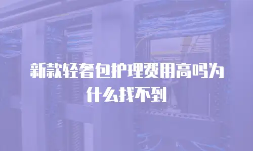 新款轻奢包护理费用高吗为什么找不到