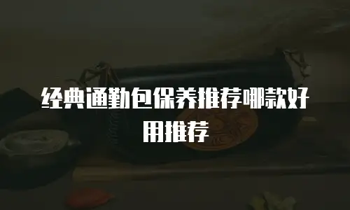 经典通勤包保养推荐哪款好用推荐