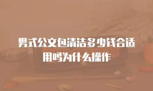 男式公文包清洁多少钱合适用吗为什么操作