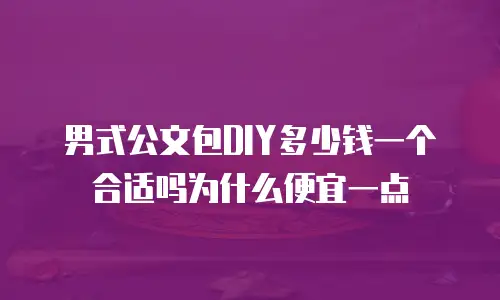 男式公文包DIY多少钱一个合适吗为什么便宜一点