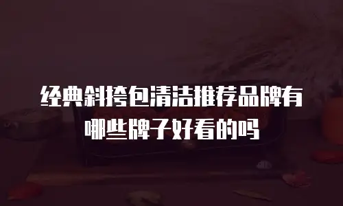 经典斜挎包清洁推荐品牌有哪些牌子好看的吗