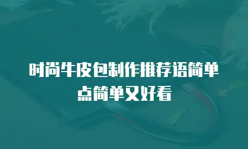 时尚牛皮包制作推荐语简单点简单又好看