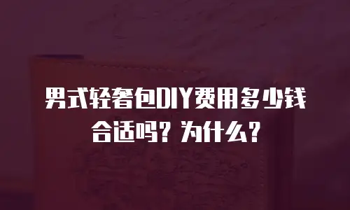 男式轻奢包DIY费用多少钱合适吗？为什么？