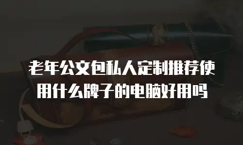 老年公文包私人定制推荐使用什么牌子的电脑好用吗