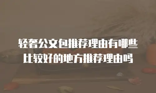 轻奢公文包推荐理由有哪些比较好的地方推荐理由吗